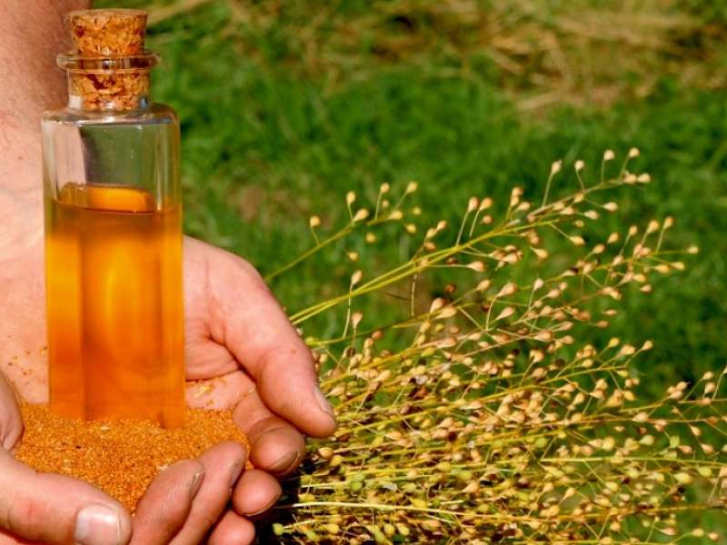 totrovo olje uporabljalo za kuhanje